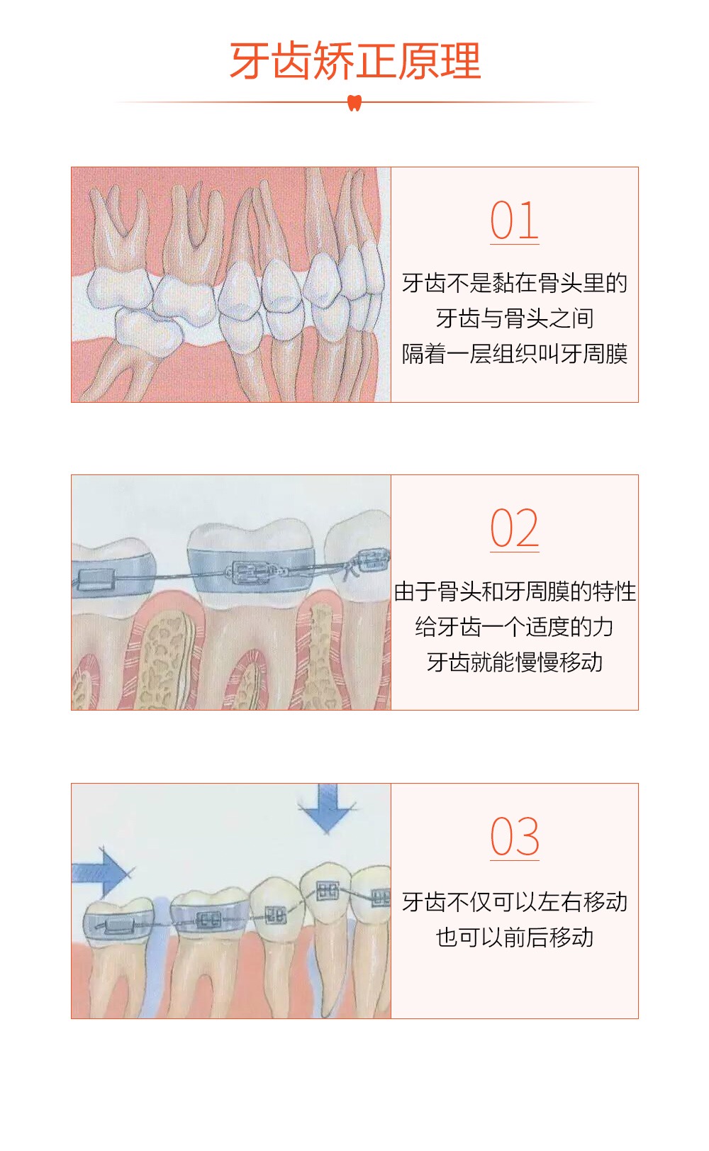 文章插图